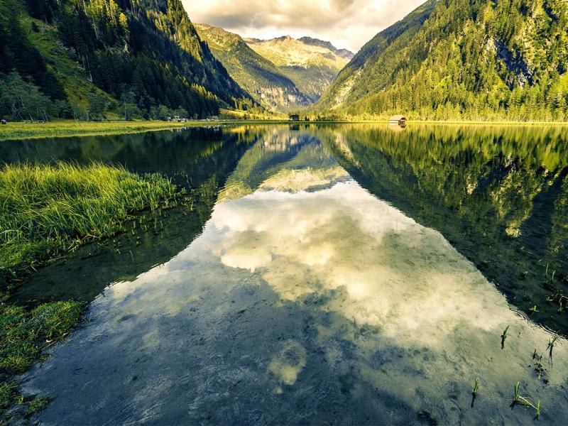 Nature Moves to the Core of Corporate Reporting